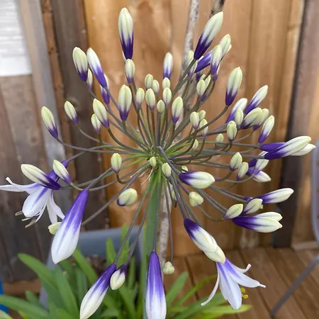 Le Clos Des Genets Quend